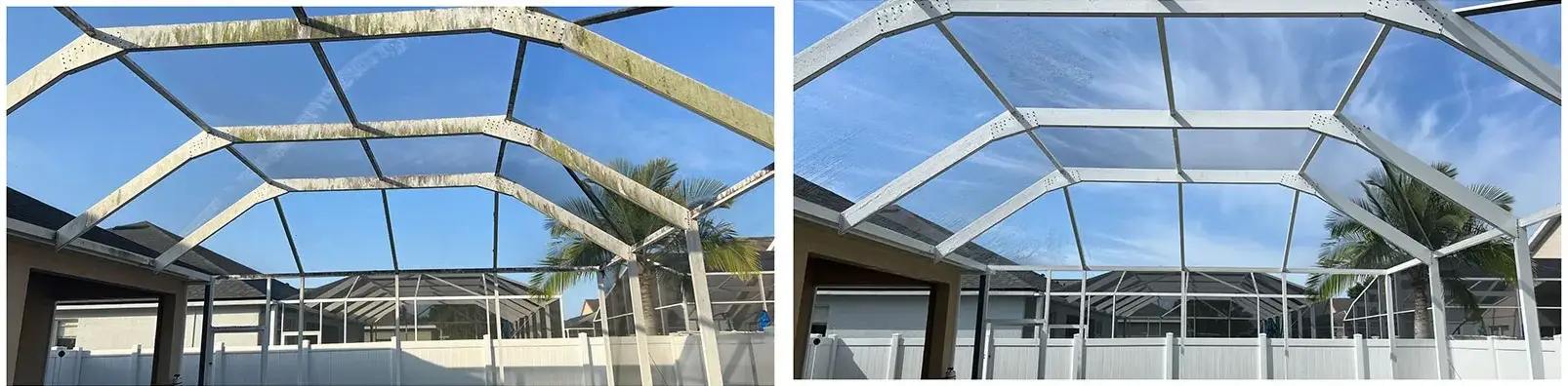 Before and after pool cage cleaning in Orlando, FL — soft-washed screen enclosure with algae and mildew removed